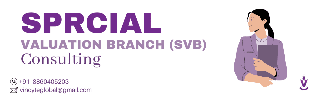 Special Valuation Branch (SVB) Consulting